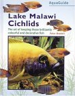 Malawi Blue Cichlid book